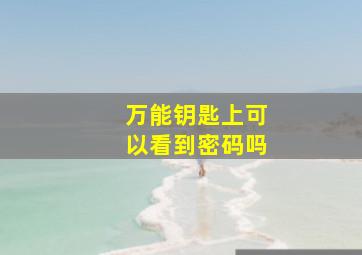 万能钥匙上可以看到密码吗