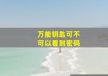 万能钥匙可不可以看到密码