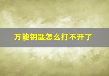 万能钥匙怎么打不开了