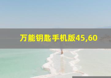 万能钥匙手机版45,60