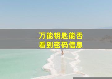 万能钥匙能否看到密码信息