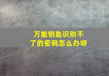 万能钥匙识别不了的密码怎么办呀