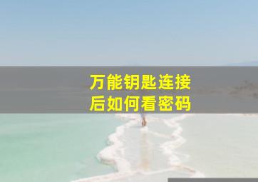 万能钥匙连接后如何看密码