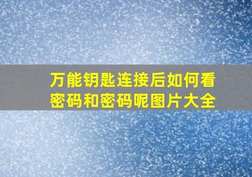 万能钥匙连接后如何看密码和密码呢图片大全