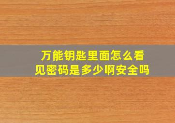 万能钥匙里面怎么看见密码是多少啊安全吗