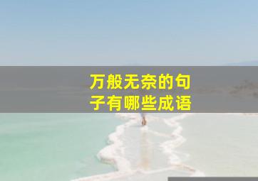 万般无奈的句子有哪些成语