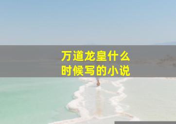 万道龙皇什么时候写的小说