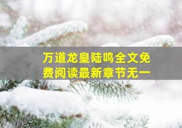 万道龙皇陆鸣全文免费阅读最新章节无一