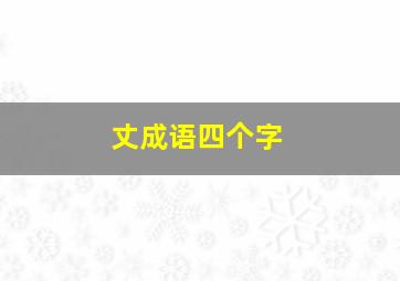 丈成语四个字