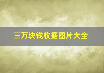 三万块钱收据图片大全