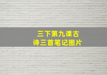 三下第九课古诗三首笔记图片