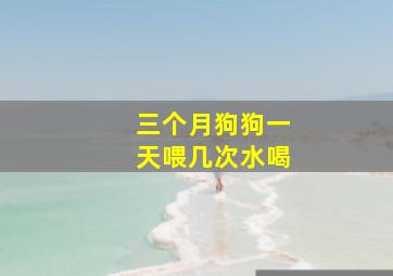 三个月狗狗一天喂几次水喝