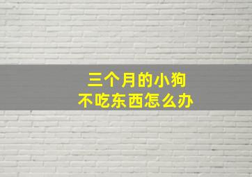 三个月的小狗不吃东西怎么办