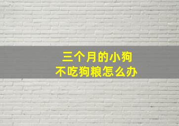 三个月的小狗不吃狗粮怎么办