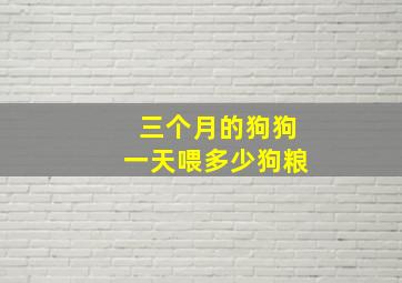 三个月的狗狗一天喂多少狗粮