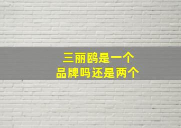 三丽鸥是一个品牌吗还是两个