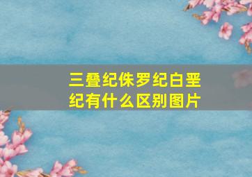 三叠纪侏罗纪白垩纪有什么区别图片