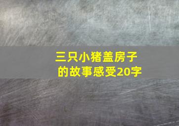 三只小猪盖房子的故事感受20字