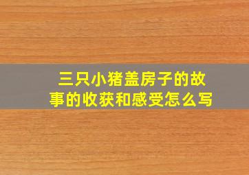 三只小猪盖房子的故事的收获和感受怎么写