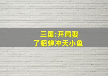 三国:开局娶了貂蝉冲天小鱼