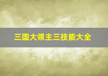 三国大领主三技能大全