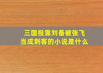 三国投靠刘备被张飞当成刺客的小说是什么