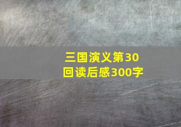 三国演义第30回读后感300字