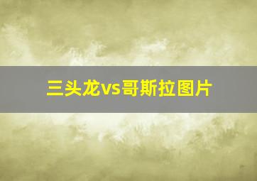 三头龙vs哥斯拉图片