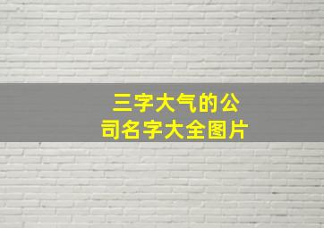 三字大气的公司名字大全图片