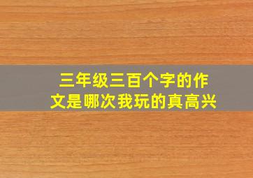 三年级三百个字的作文是哪次我玩的真高兴