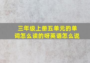 三年级上册五单元的单词怎么读的呀英语怎么说