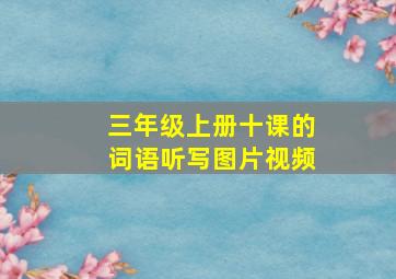 三年级上册十课的词语听写图片视频