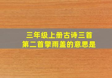 三年级上册古诗三首第二首擎雨盖的意思是