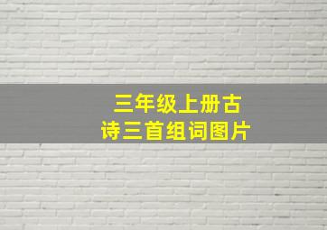 三年级上册古诗三首组词图片