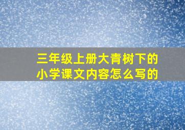 三年级上册大青树下的小学课文内容怎么写的