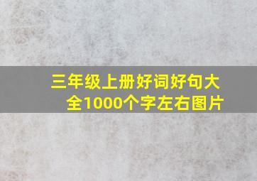 三年级上册好词好句大全1000个字左右图片