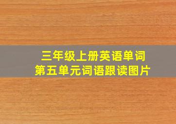 三年级上册英语单词第五单元词语跟读图片