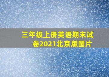 三年级上册英语期末试卷2021北京版图片