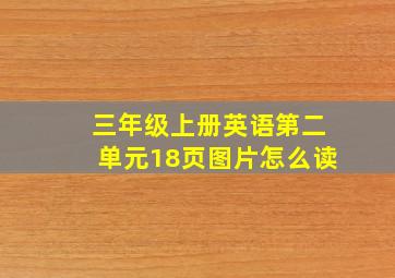 三年级上册英语第二单元18页图片怎么读