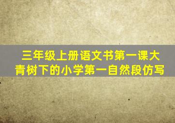 三年级上册语文书第一课大青树下的小学第一自然段仿写