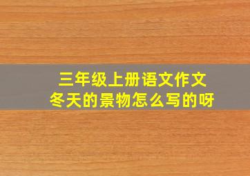 三年级上册语文作文冬天的景物怎么写的呀