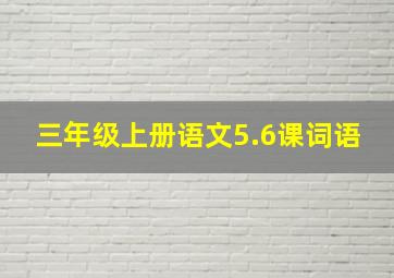 三年级上册语文5.6课词语