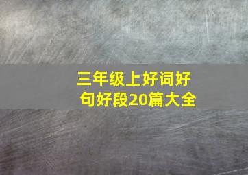 三年级上好词好句好段20篇大全