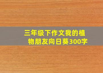 三年级下作文我的植物朋友向日葵300字