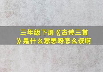 三年级下册《古诗三首》是什么意思呀怎么读啊