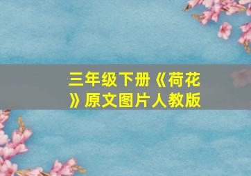 三年级下册《荷花》原文图片人教版