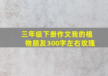 三年级下册作文我的植物朋友300字左右玫瑰