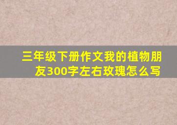 三年级下册作文我的植物朋友300字左右玫瑰怎么写