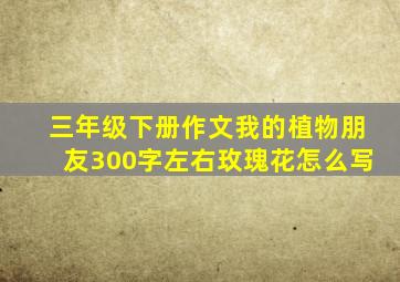 三年级下册作文我的植物朋友300字左右玫瑰花怎么写