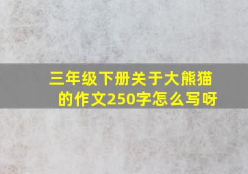 三年级下册关于大熊猫的作文250字怎么写呀